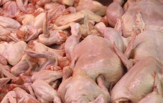 Мясо домашней птицы (курица 21%, индейка 6%) / Poultry (Chicken 21%, Turkey 6%)