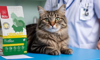 Научно доказанная эффективность диеты для здоровья мочевыделительной системы кошек!
