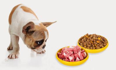 Как перевести собаку на сухой корм или с сухого корма на натуралку?