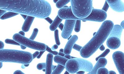 Что такое пробиотики и зачем они нужны