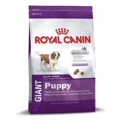 Корм для щенков Royal Canin Giant Puppy