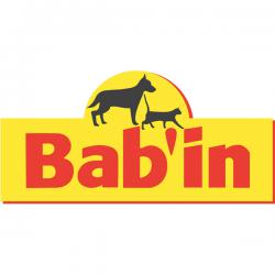 Bab'in