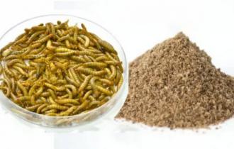 Белковый концентрат из Черной львинки