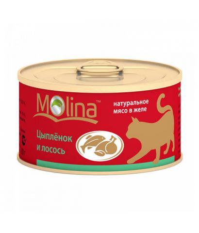 Корм для кошек Molina «Цыплёнок и лосось»