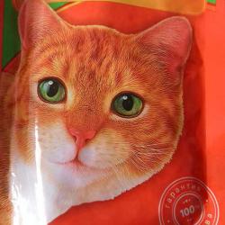 Фото консервированного полнорационного корма «Прохвост» с говядиной в соусе для взрослых кошек