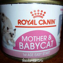 Фото консервированного полнорационного корма «Роял Канин Мазер энд Бебикэт» — мусс для беременных и кормящих кошек и для котят в возрасте от 1 до 4 месяцев