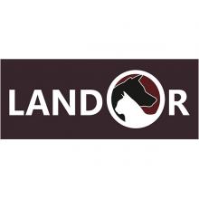 корм landor для кошек какой класс. landor. корм landor для кошек какой класс фото. корм landor для кошек какой класс-landor. картинка корм landor для кошек какой класс. картинка landor. Думая о том, где найти по-настоящему сбалансированное и полноценное питание для своего пушистого мурлыки, обратите внимание на корма группы супер-премиум: там попадаются вполне достойные варианты.