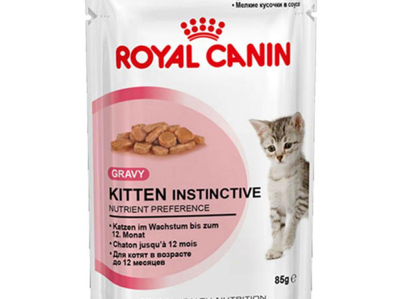 Корм для кошек royal canin gravy thumbnail
