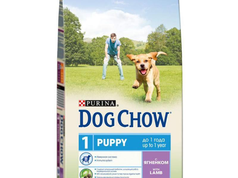 Purina dog store chow puppy lamb