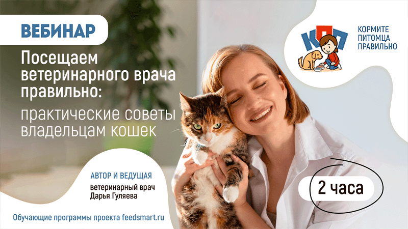 Вебинар «Посещаем ветеринарного врача правильно: практические советы владельцам кошек»